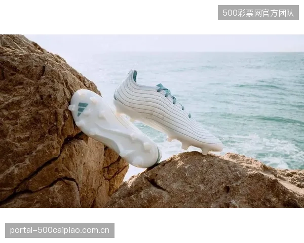 阿迪达斯发布了新款“海洋塑料”球鞋，每一双鞋都附有一个基于Solana区块链的数字产品护照，记录了塑料瓶的回收与转化过程